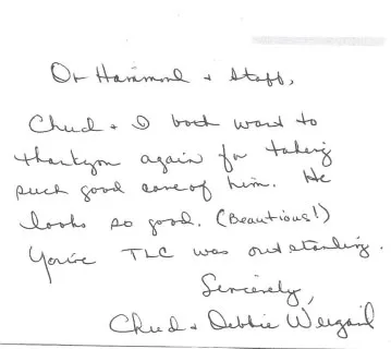 comments from patients