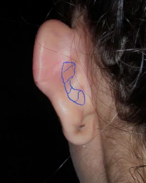 back of ears